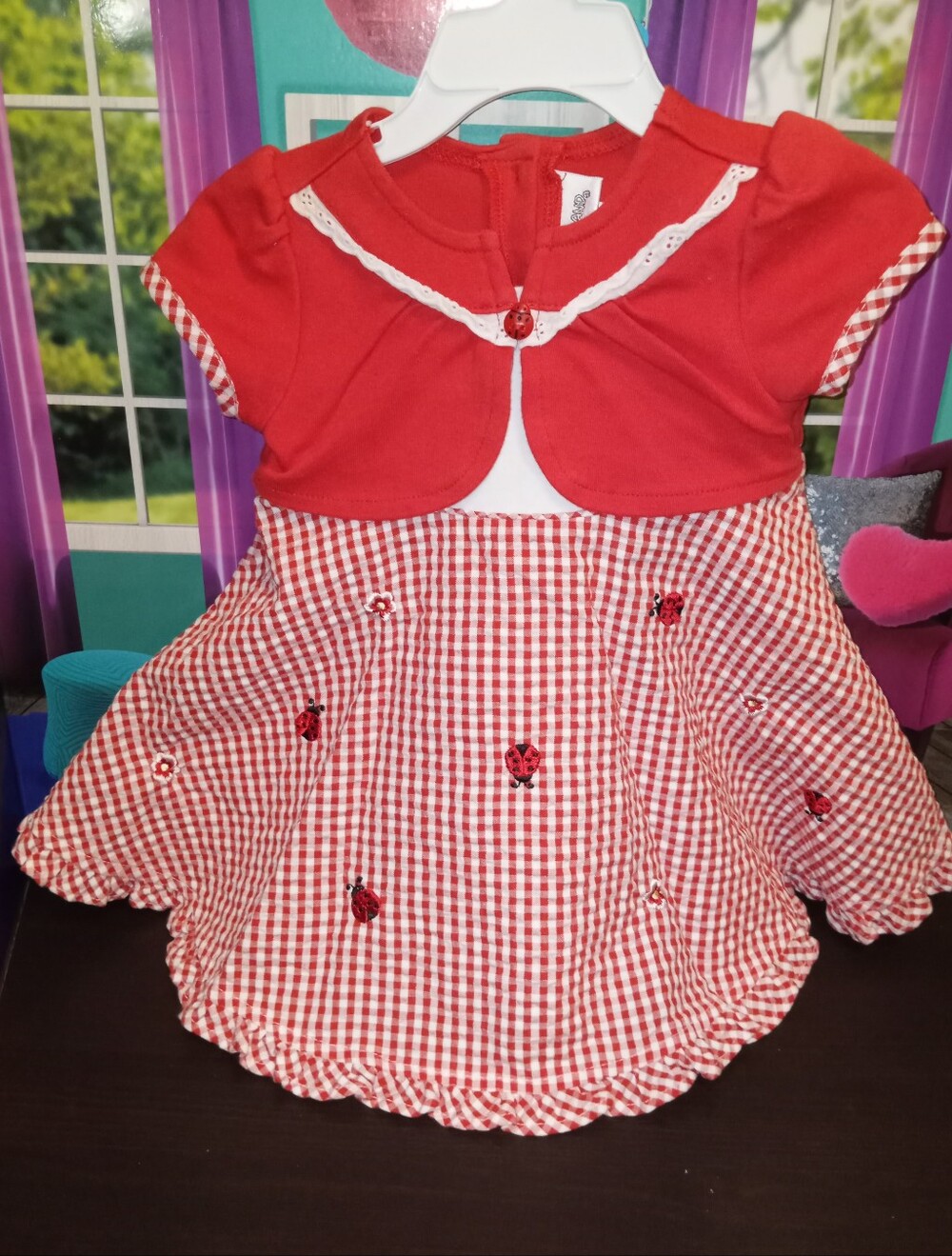 Youngland  red & white lady bug gingham Dress 18m